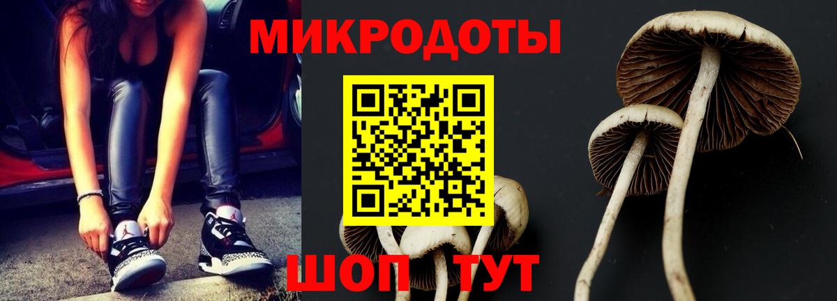 Псилоцибиновые грибы прущие грибы  Вход с VPN  Соль-Илецк 